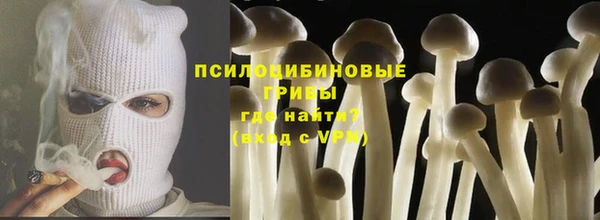 гашик Балахна