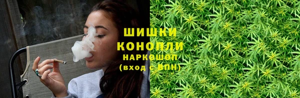 гашик Балахна