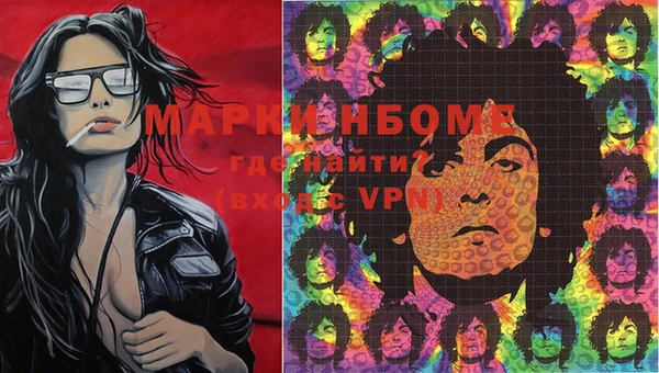 гашик Балахна