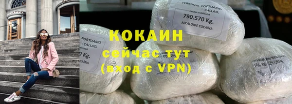 гашик Балахна
